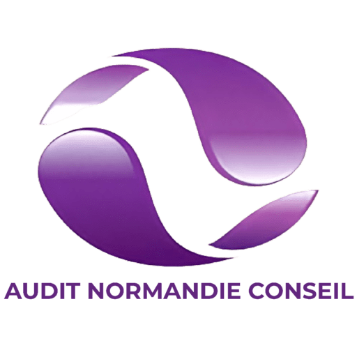 https://www.les-valkyries-rouen.com/wp-content/uploads/audit-normandie-conseil.png